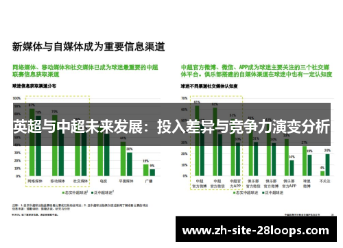 英超与中超未来发展:投入差异与竞争力演变分析 英超与中超未来发展:投入差异与竞争力演变分析