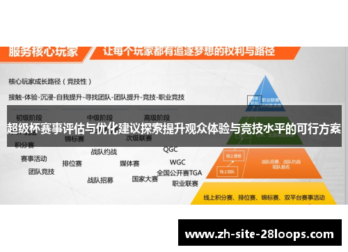 超级杯赛事评估与优化建议探索提升观众体验与竞技水平的可行方案