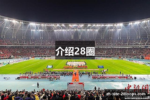 介绍28圈
